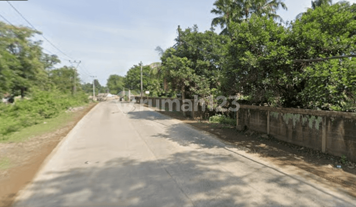 Kavling Tanah Parung Panjang. Luas 16 Hektar. Jalan Raya 4 Mobil. 13 Km ke Tol Serpong Balaraja.