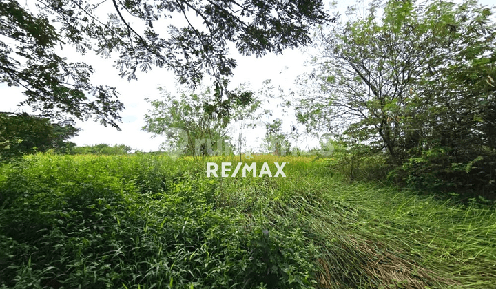 Kavling Dikawasan Industri Greenland Luas 11118M Delta Mas Cikarang