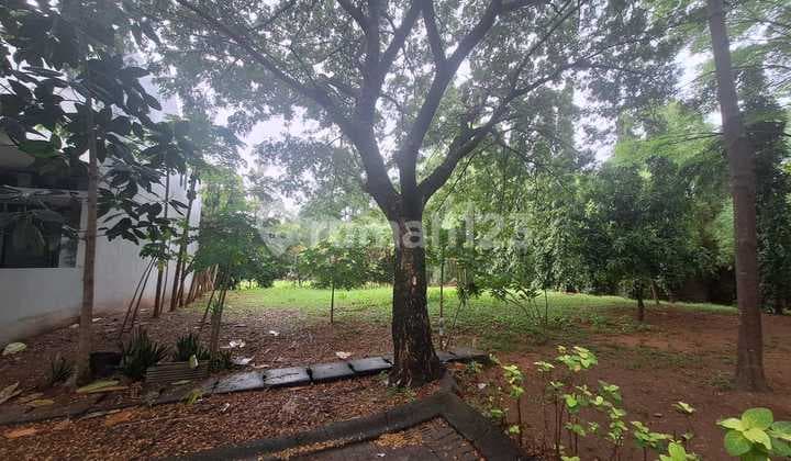 FRANS CEN-Dijual tanah di Casajardin.bagus.Murah Murah.wow Lt.264m2