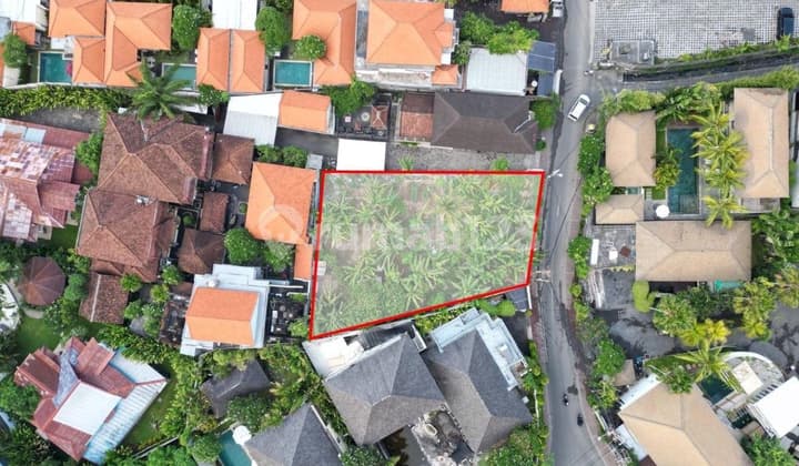 Tanah Premium Di Jalan Utama Batubelig Cocok Untuk Usaha Cafe