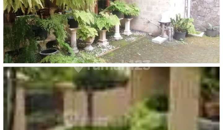 Dijual Rumah Siap Huni Strategis di Gayungsari Surabaya Mh 03