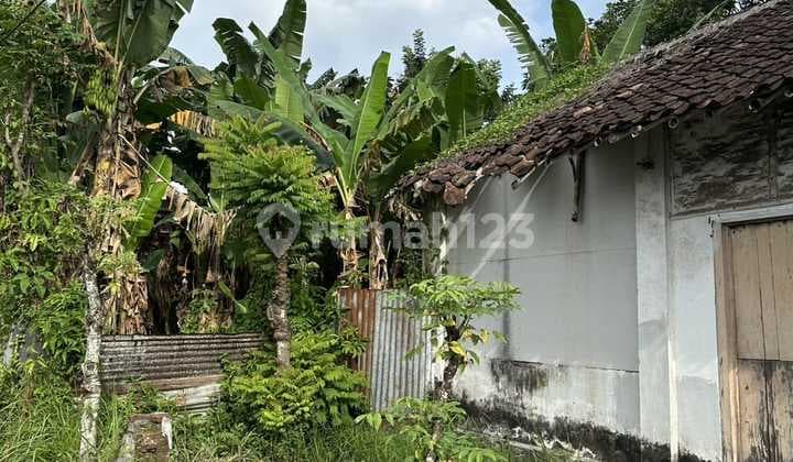 Dijual Rumah Hitung Tanah di Tanggul Jember Vg 94