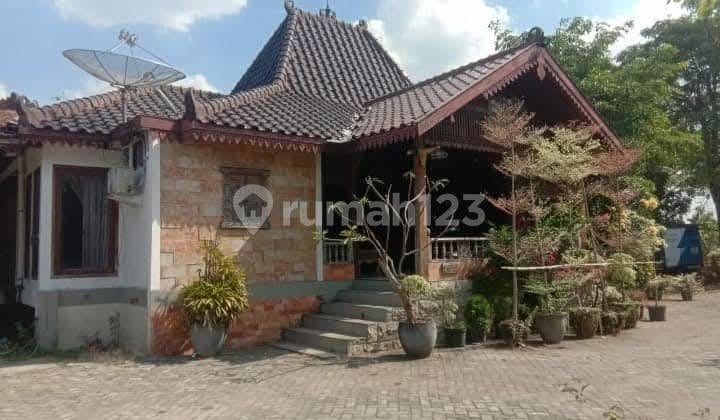 Dijual Tanah dan Bangunan Luas Strategis di Raya Jombang Bw 283