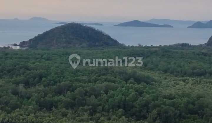 Land Freehold Ocean View In Labuan Bajo