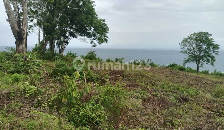 Land Cliff Front Leasehold In Great Location Thomas Beach Bali