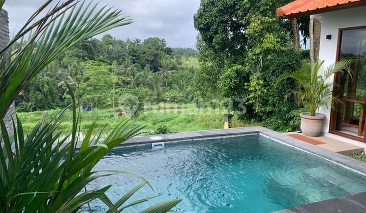 Villa Rental 2 Bedrooms In Mambal Close Ubud Bali