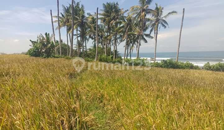 Land Freehold Beachfront Pasut Tabanan Bali