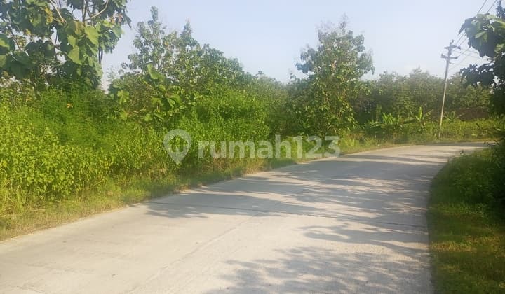 Tanah Untuk Pabrik Dan Industri 20 Ha HGB Boyolali