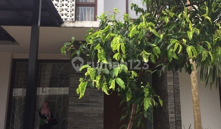 Rumah Asri di Discovery Lumina Bintaro Jaya