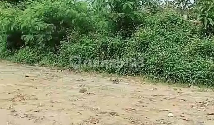 Tanah Siap Bangun Pabrik Dan Gudang