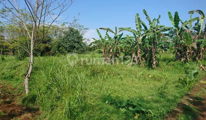 Tanah buat industri dan pergudangan