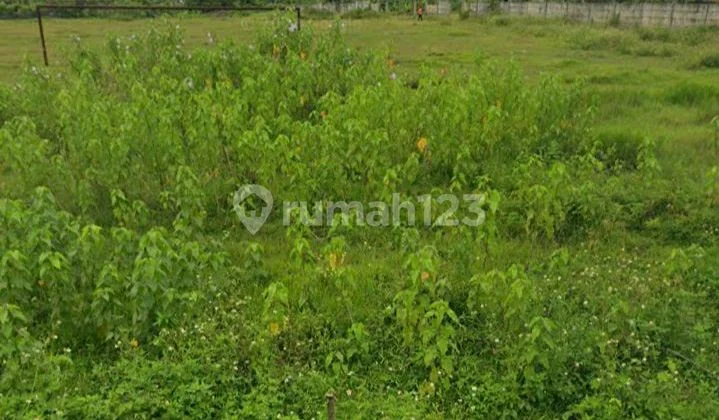 Tanah siap bangun pabrik dan gudang Tanah siap bangun pabrik dan gudang