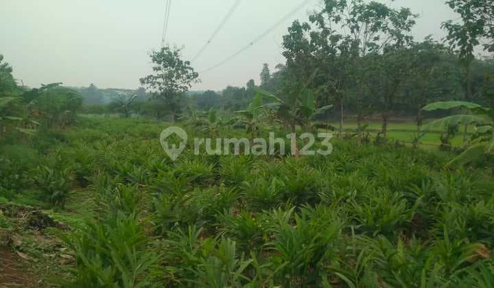 Land Ready to Build for Housing and Investment