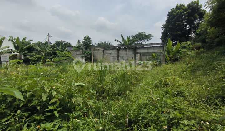 Tanah Cocok untuk Claster