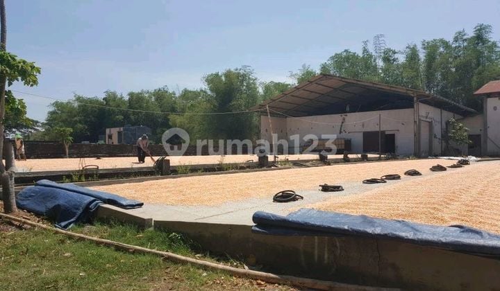 Strategic Nganjuk Warehouse for Business