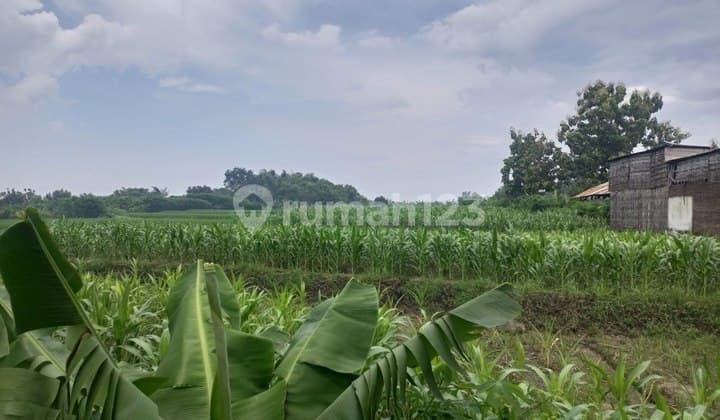 Tanah Delanggu Mojokerto Zona Industri