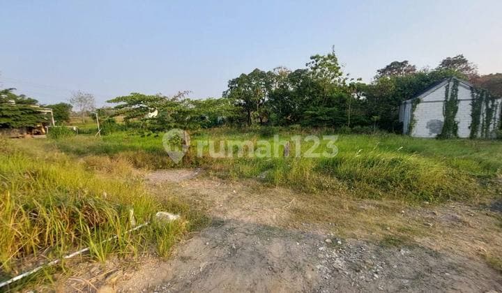 2 Adjacent Land Plots in Pelemwatu, Menganti