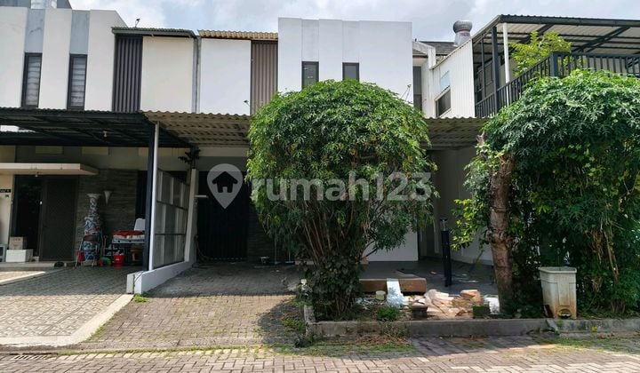 Rudy Cen Disewa Rumah Di Casajardin 8x18 Casa Jardin