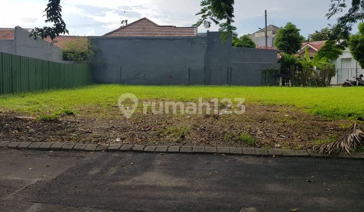 Kav Siap Bangun Citraland Utara Sby Bukit Palma Hadap Sekolah Citra Berkat Cepat Harga Dibawah NJOP