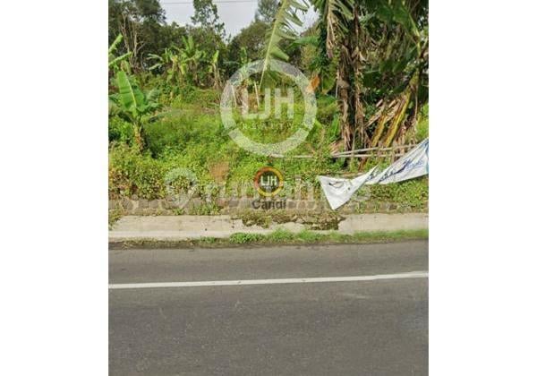 Plot in Fatmawati Tuntang Salatiga Central Java