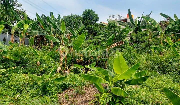 Tanah Sangat Murah Siap Bangun di Neroktog Pinang Kota Tangerang
