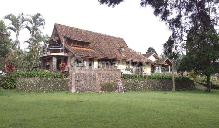 Villa Asri and Cool With a Wide Yard in a Premium Location