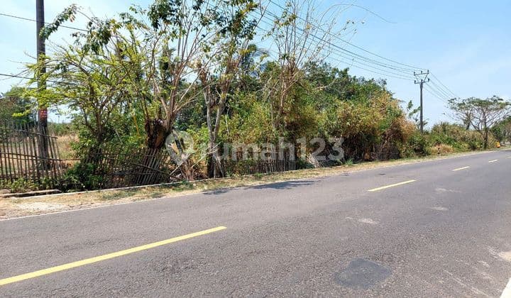 Tanah Stategis Di Pinggir Jl. Nasional IiI Panimbang