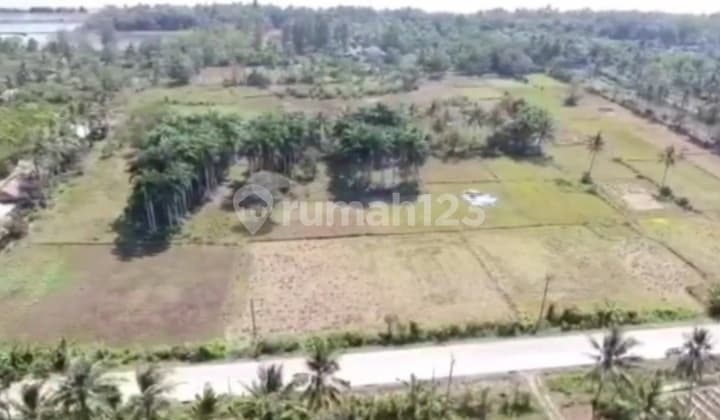 Tanah Strategis Dekat Tempat Wisata Di Panimbang Pandeglang