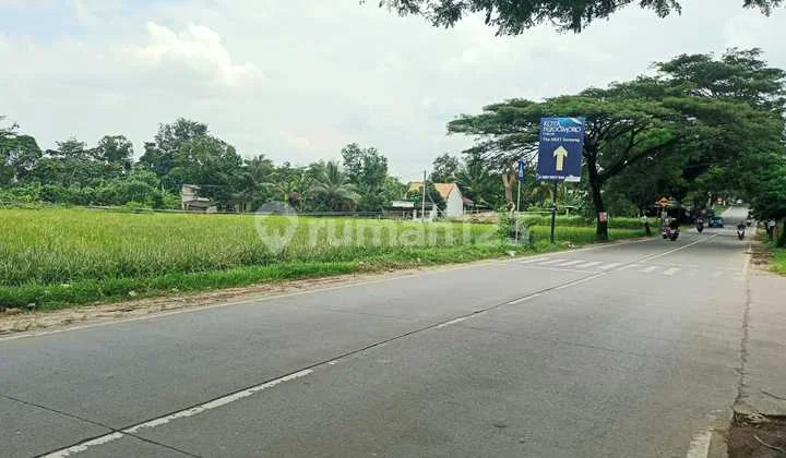 Tanah Stategis Cocok untuk Pergudangan dan Perumahan di Tigaraksa