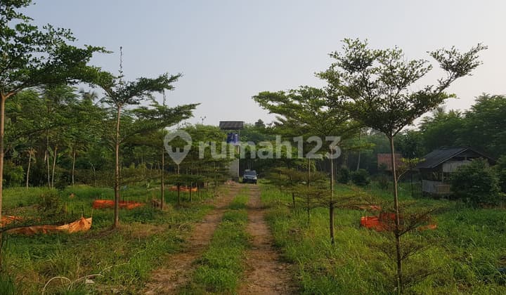 Tanah Murah Di Gunung Sindur-Parung Kab. Bogor