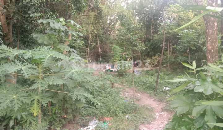 2.5 Jt Per M Shm Pekarangan Ready Jakal Km. 7