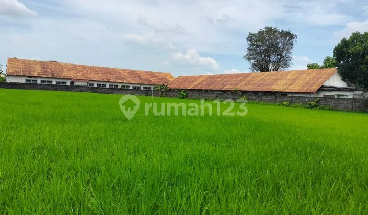 Land for rent next to Transmart Jember. Land for rent next to Transmart Jember.