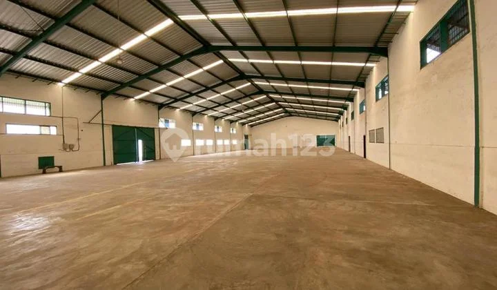 Cheap and Good Warehouse in Jember Cheap and Good Warehouse in Jember