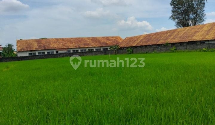 Disewakan lahan sangat strategis di samping Transmart jember