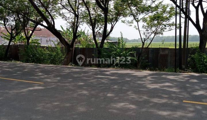 Cheap Industrial Land 0 Strategic Road In Bojonegoro Cheap Industrial Land 0 Strategic Road In Bojonegoro