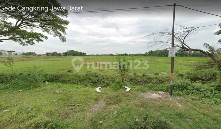 Land for Sale, Location: Cangkring Village, Kaliwulu