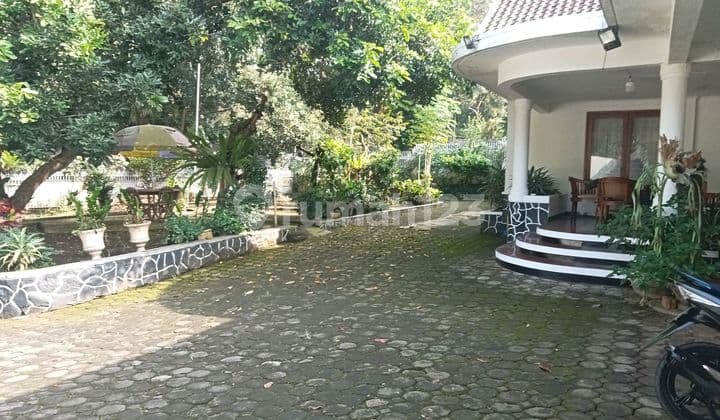 Rumah Klasik di Sukajadi Halaman Luas Siap Huni