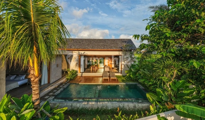 Serene Two Bedroom Leasehold Property With Ricefield View In Seseh Vl3466