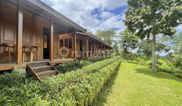 Freehold Wooden House With Amazing View In Gianyar Vl2721