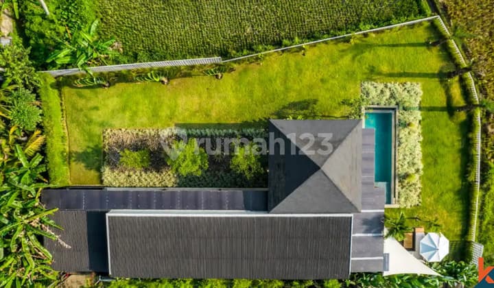 Amazing Ricefields Views Property In Ubud Vl2951