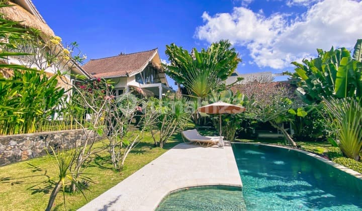 Menawan Empat Kamar Properti Bebas Hak Milik di Tiying Tutul VL3323