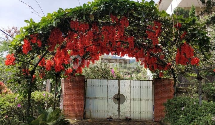 Dijual Villa Magnolia Ciloto Puncak