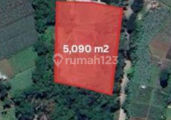 Tanah Luas Lokasi Dekat Kawasan Wisata di Maribaya Lemabang Bandung