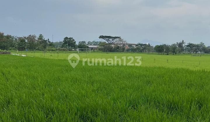 Tanah Luas Lokasi Strategis di Kawasan Rancaekek Bandung Kota