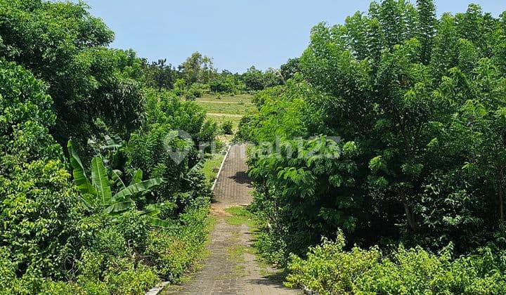 Jual Tanah View Laut Cocok Untuk Kavling Di Balangan Ungasan