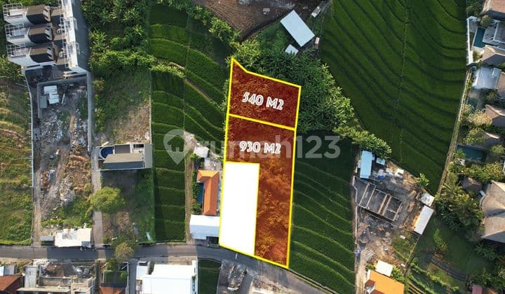 Dijual Tanah Kosong Selangkah Ke Pantai Pererenan