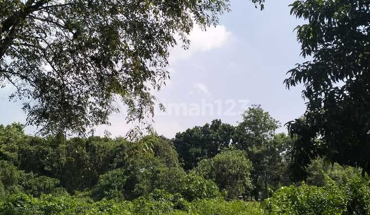 Kavling Golf G4/234 Siap Bangun di Modernland Tangerang