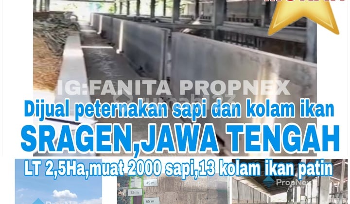 MURAH! Dijual peternakan di Karang Dalem,Sragen,Jawa Tengah