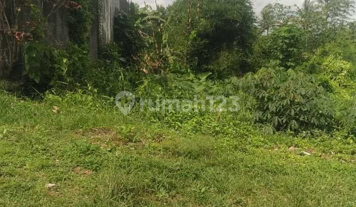 Tanah Perumahan 165m2 Hanya 20 meter Dari Jalan Utama Batukaru Wanasari Tabanan Bali