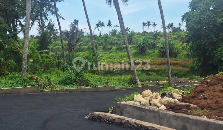 Tanah Kavling Perumahan 5 Menit Dari Pantai Saba Gianyar Bali